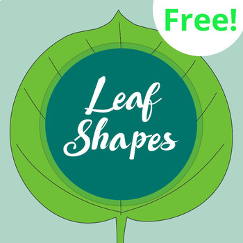 Preview of Leaf Shape Worksheet and Poster (FREE!)