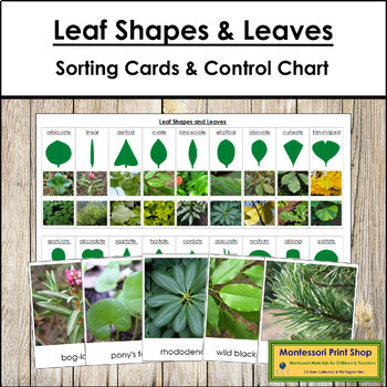 Preview of Types of Leaf Shapes & Leaves Sorting Cards and Control Chart