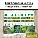 Types of Leaf Shapes & Leaves Sorting Cards and Control Chart