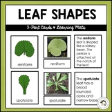Leaf Shapes Montessori 3 Part Cards Student Worksheet