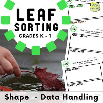 Preview of Leaf Sorting - Data Handling - Shape, Space, and Measure (Kindergarten-Grade 1)