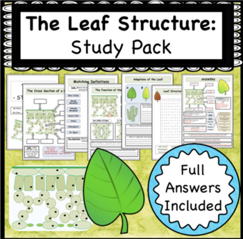 Preview of Leaf Structure Lesson Booklet