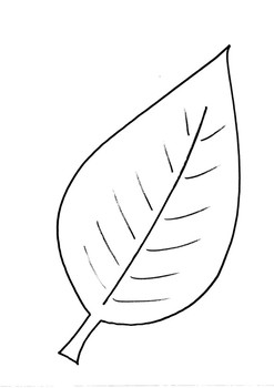 Leaf Templates by Little Ones Big Learning | Teachers Pay Teachers
