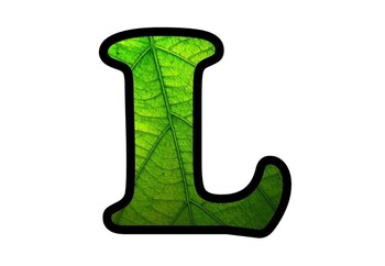 Preview of Leaf Texture Bulletin Board Theme Letters Numbers, Symbols, Spring, Fall Decor