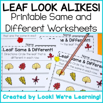 leaf visual discrimination activity leaf same or different worksheets