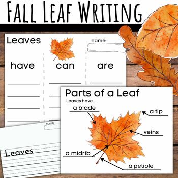 Preview of Leaf Writing Informative Prompt with Lined Paper for Thanksgiving Fall Leaves