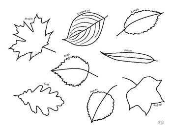 Leaf coloring page by Our Time to Learn | Teachers Pay Teachers