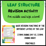 Leaf structure: Revision activity