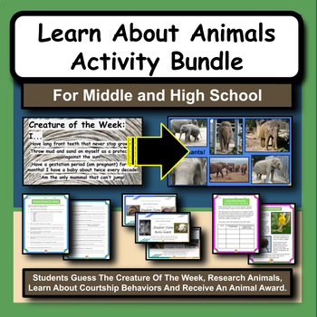 Preview of Learn About Animals Activity Bundle for Middle or High School Science or Biology