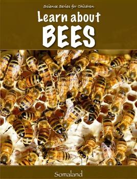 Preview of Learn About BEES (American English)