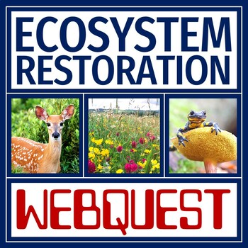 Preview of Human Impact on the Environment WEBQUEST Ecosystem Restoration PDF and GOOGLE