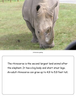 plural of rhinoceros in english