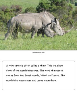 plural of rhinoceros in english