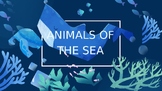 Learn About Sea Animals - Fun Facts
