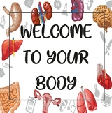 Learn About The Human Body