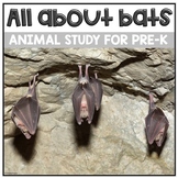 Learn All About Bats | Animal Study for Preschool | Bat Ac