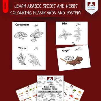 Preview of Learn Arabic Spices and Herbs  colouring Flashcards and posters