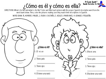 Describing People's Physical Appearance in Spanish - Spanish Learning Lab
