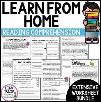 Preview of Reading Comprehension Package