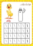 Learn Numbers in Arabic Languages