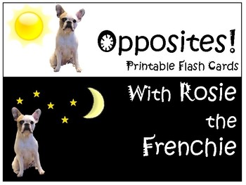 Learn Opposites: Opposites Flash Cards with Rosie the Frenchie Dog