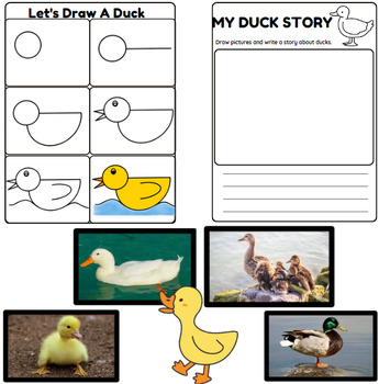 Learn To Draw A Duck Directed Drawing and Art Activities by Do-Over ...