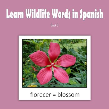 Preview of Learn Wildlife Words in Spanish, Book 3