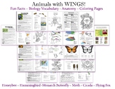 Learn about Animals with Wings! Bees, Butterflies, Humming
