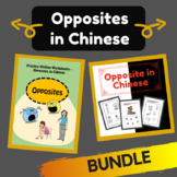 Bundle - Learn about Opposites in Chinese