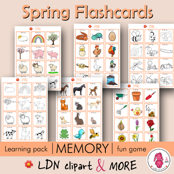 Preview of SPRING printable FLASHCARDS. Easy prep, play memory and have fun