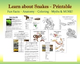 Learn about Snakes, Printable Packet to learn Anatomy, ide