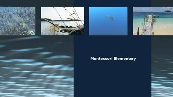 Preview of Learn About the Montessori Elementary Child