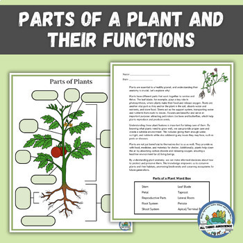 Preview of Label Parts of a Plant - Worksheets and Coloring Activities