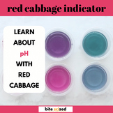 Learn pH and Color Change with Red Cabbage Indicator [prin
