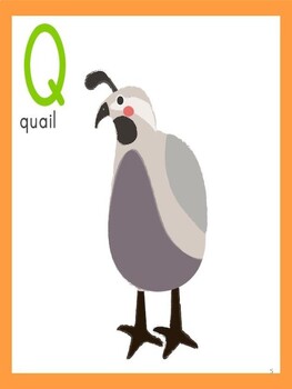 Preview of Learn the letter Q: let's learn about the letter Q - Let's learn the alphabet!