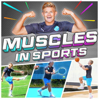 Preview of Learn the muscles in sports (for PE) - slides with videos + printable cards