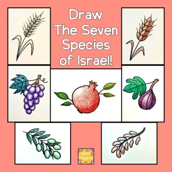 Preview of Learn to Draw The Seven Species of Israel: Directed Drawing Project!