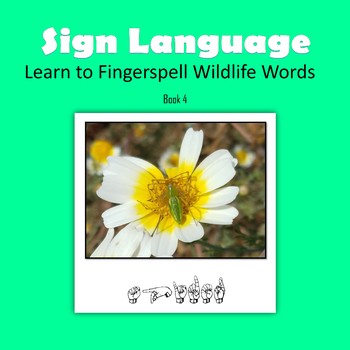 Preview of Learn to Fingerspell Wildlife Words, Book 4