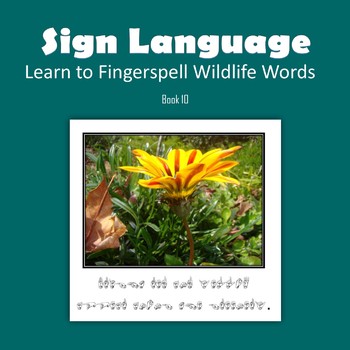 Preview of Learn to Fingerspell Wildlife Words, Book 10