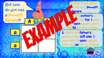 Preview of Learn to Use Punnett Squares with SpongeBob Squarepants!