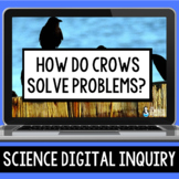 Crows Digital Inquiry Resources | Inherited Traits and Lea