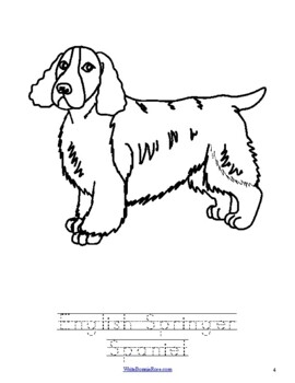 beagle and border collie coloring pages
