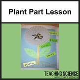 Learning Cycle for Kindergarten Parts of Plants