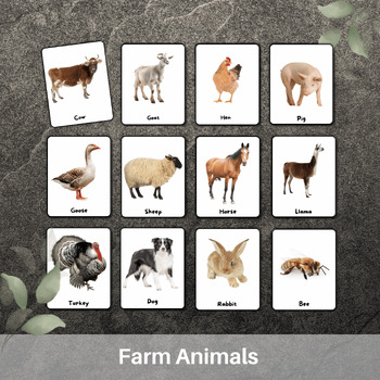 Preview of Learning FARM ANIMALS in English - 20 real pictures - Montessori Cards