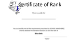 Recorder Karate Alternative Certificates - Can be edited f