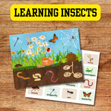 Learning Insects Dry Erase Activity for Toddlers Pre-k Hom