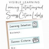 Learning Intention and Success Criteria Posters - Natural Rainbow
