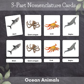 Preview of Learning OCEAN ANIMALS - 20 real pictures - Montessori Cards. Nomenclature Cards