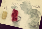 Learning Osmosis Through a Gummy Bear Science Experiment