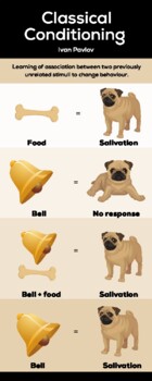 Preview of Learning Theory: Classical Conditioning Infographic